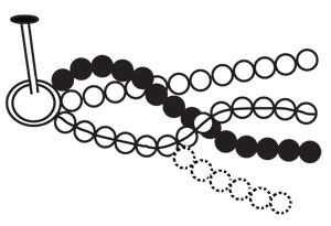 Diagram of beaded strands being braided